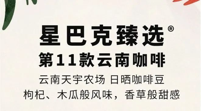 ：彩云之南的馥郁传奇不朽情缘游戏云南咖啡(图18)