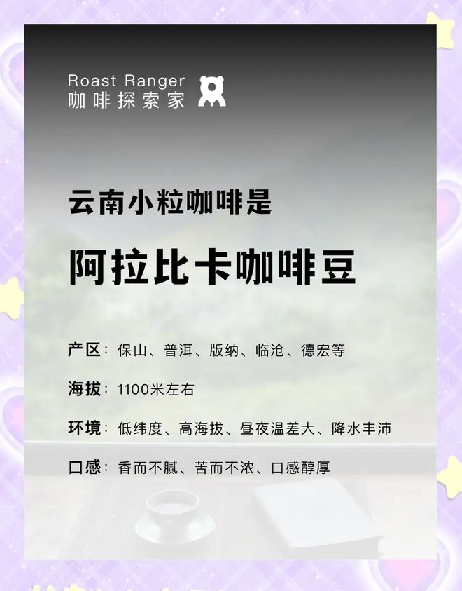 ：彩云之南的馥郁传奇不朽情缘游戏云南咖啡(图13)