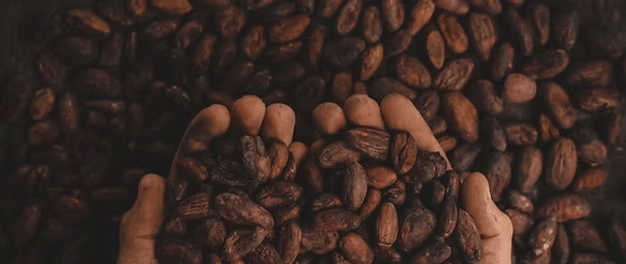 味果冻」东鹏2025三季度营收同比增长3036%一周热闻mg不朽情缘游戏平台康师傅×疯狂动物城上新「冻冻茶冰红茶(图2)